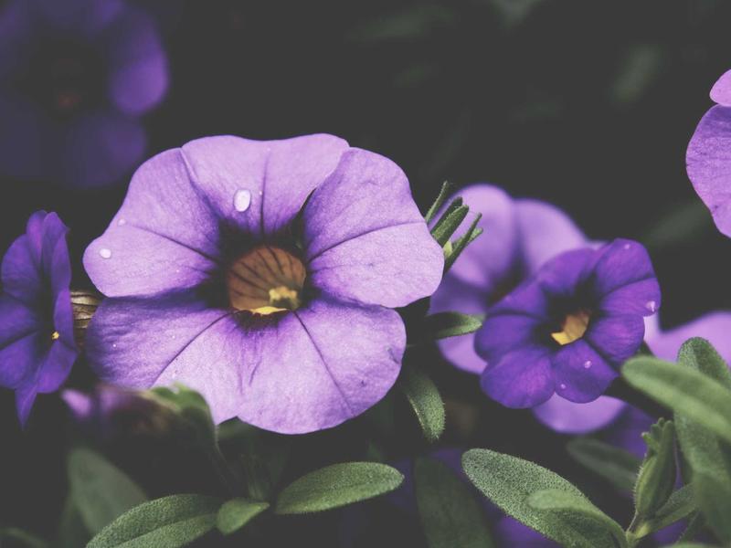 sudoku touch controls screenshot 5